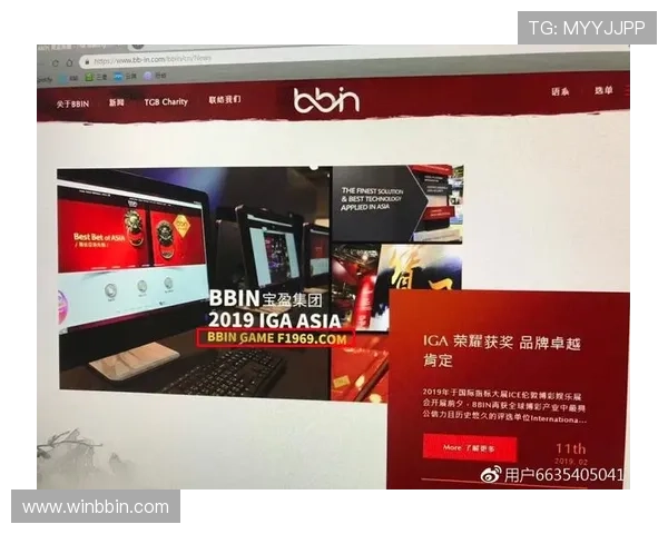 bbin直营网被审核的原因分析及应对策略全面解析 bbin直营网被审核的原因分析及应对策略全面解析